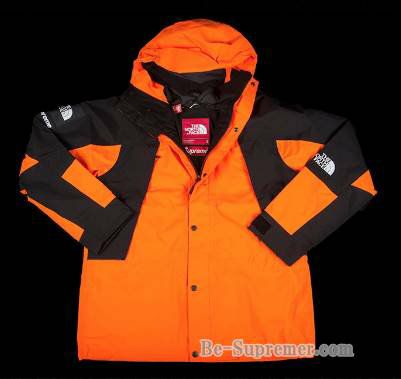 Supreme シュプリーム 16FW The North Face Mountain Light Jacket