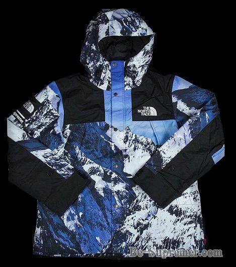 Supreme シュプリーム 17FW The North Face Mountain Parka ノース 