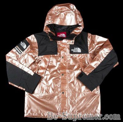 Supreme シュプリーム 18SS The North Face Metallic Mounatin Parka