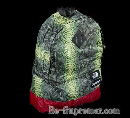 【新品同様】Supreme シュプリーム リュックサック デイパック ノースフェイス　THE NORTH FACE　コラボ 2018SS ライトウェイト スネークスキン リュック・デイパック Supreme The North Face Snakeskin Lightweight Day Pack 蛇柄