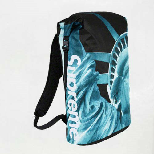 Supreme シュプリーム 19FW The North Face Statue of Liberty