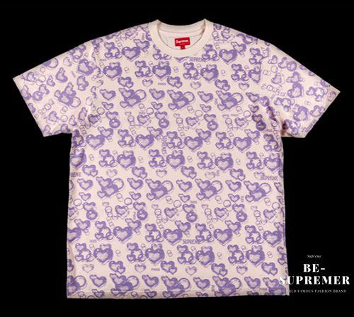 Supreme シュプリーム 22SS The North Face Bandana Tee ノース