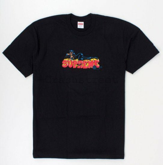 Supreme シュプリーム 17FW The North Face Mountain Tee ノース
