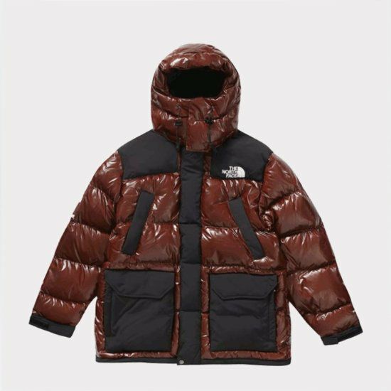 Supreme シュプリーム 2022AW The North Face 700-Fill Down Parka 