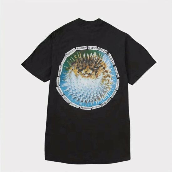 Supreme シュプリーム 23SS Tonal Box Logo Tee トナルボックスロゴT