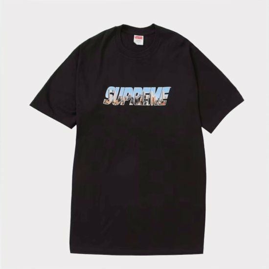 Supreme シュプリーム 23AW Gotham Tee ゴッサムTシャツ ブラック