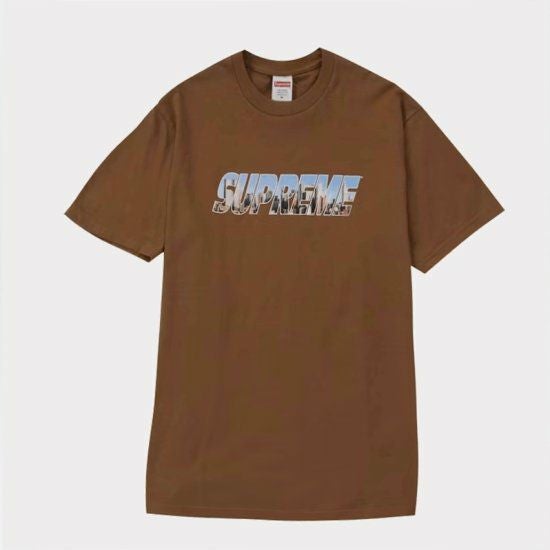 Supreme シュプリーム 23AW Gotham Tee ゴッサムTシャツ ライト