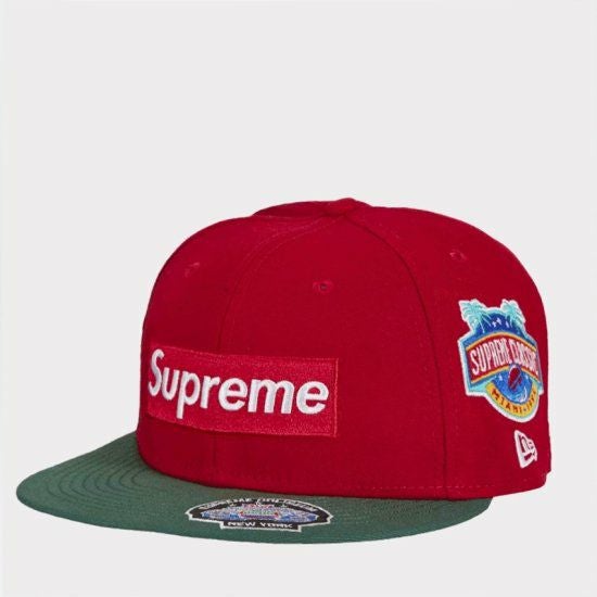 Supreme Champion Zip Up Hooded Sweatshirt | チャンピオンジップ