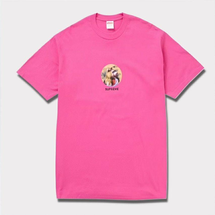 Supreme シュプリーム 20FW ANTIHERO Balcony Tee アンタイヒーロー