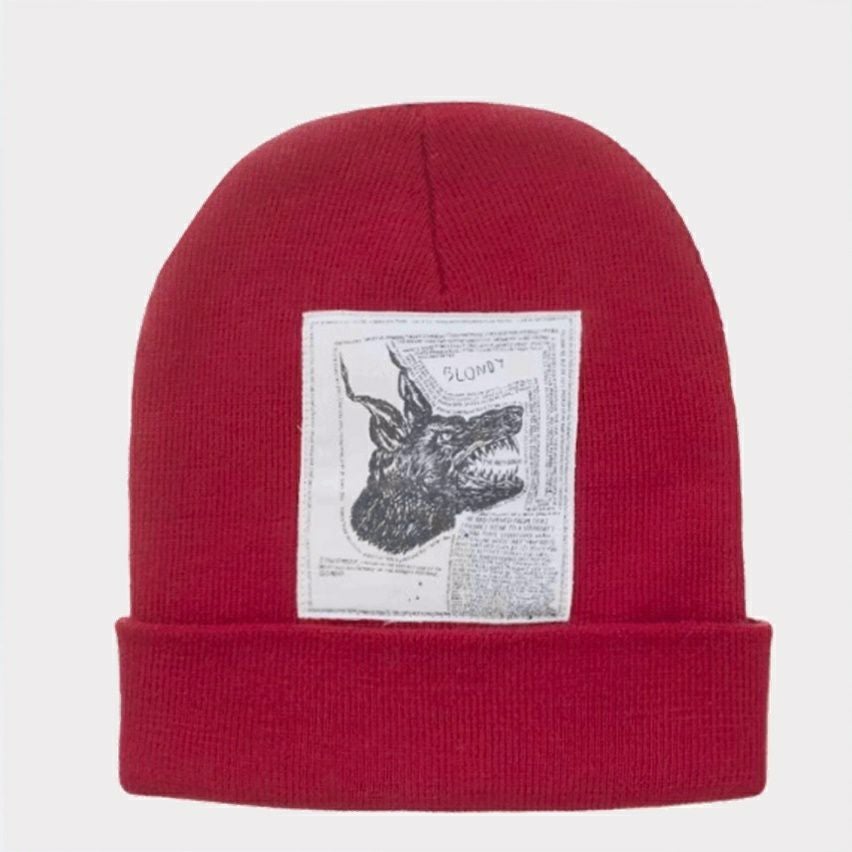 THE NORTH FACE x Supreme ニット帽 Supreme x The North Face Beanie 