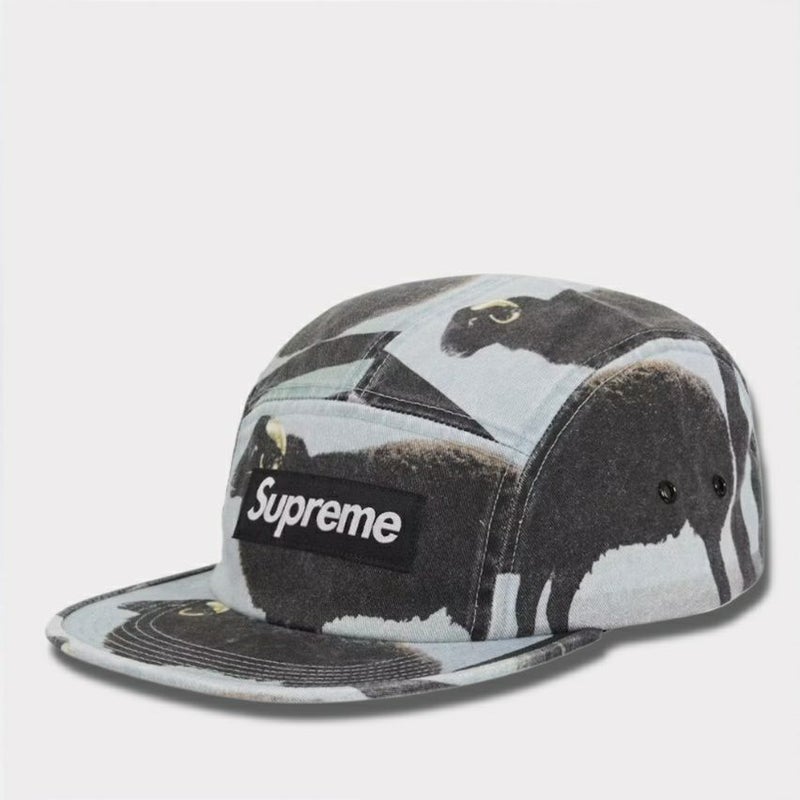 Supreme シュプリーム 2025SS Damien Hirst Camp Cap ダミアンハーストキャンプキャップ ブラック 黒
