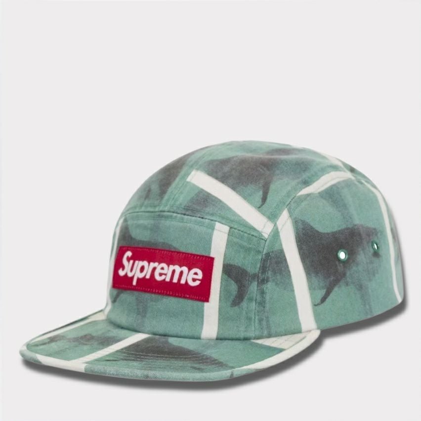 Supreme シュプリーム 2025SS Damien Hirst Camp Cap ダミアンハーストキャンプキャップ ホワイト 白