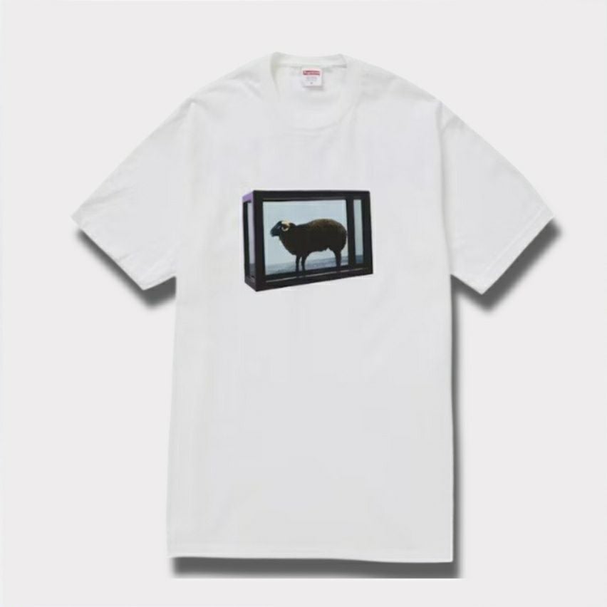 Supreme シュプリーム 2025SS Damien Hirst tee ダミアンハーストTシャツ ホワイト 白