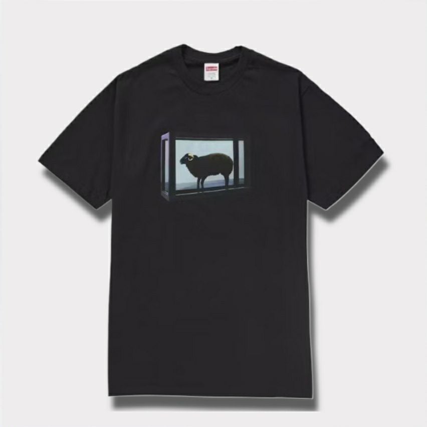 Supreme シュプリーム 2025SS Damien Hirst tee ダミアンハーストTシャツ ブラック 黒