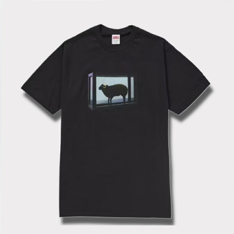 Supreme シュプリーム 2025SS Damien Hirst tee ダミアンハーストTシャツ ブラック 黒
