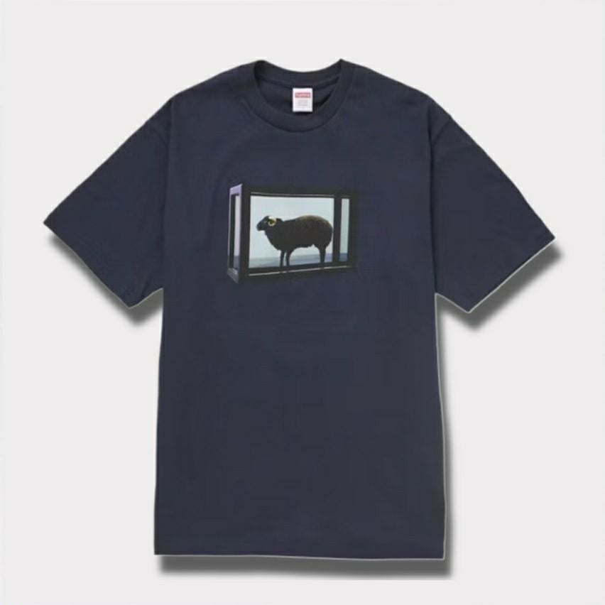 Supreme シュプリーム 2025SS Damien Hirst tee ダミアンハーストTシャツ ネイビー 紺
