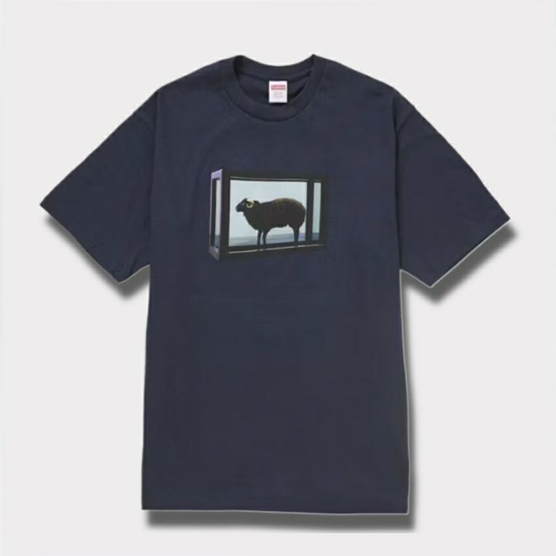 Supreme シュプリーム 2025SS Damien Hirst tee ダミアンハーストTシャツ ネイビー 紺