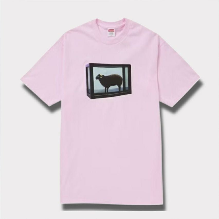 Supreme シュプリーム 2025SS Damien Hirst tee ダミアンハーストTシャツ ライトピンク
