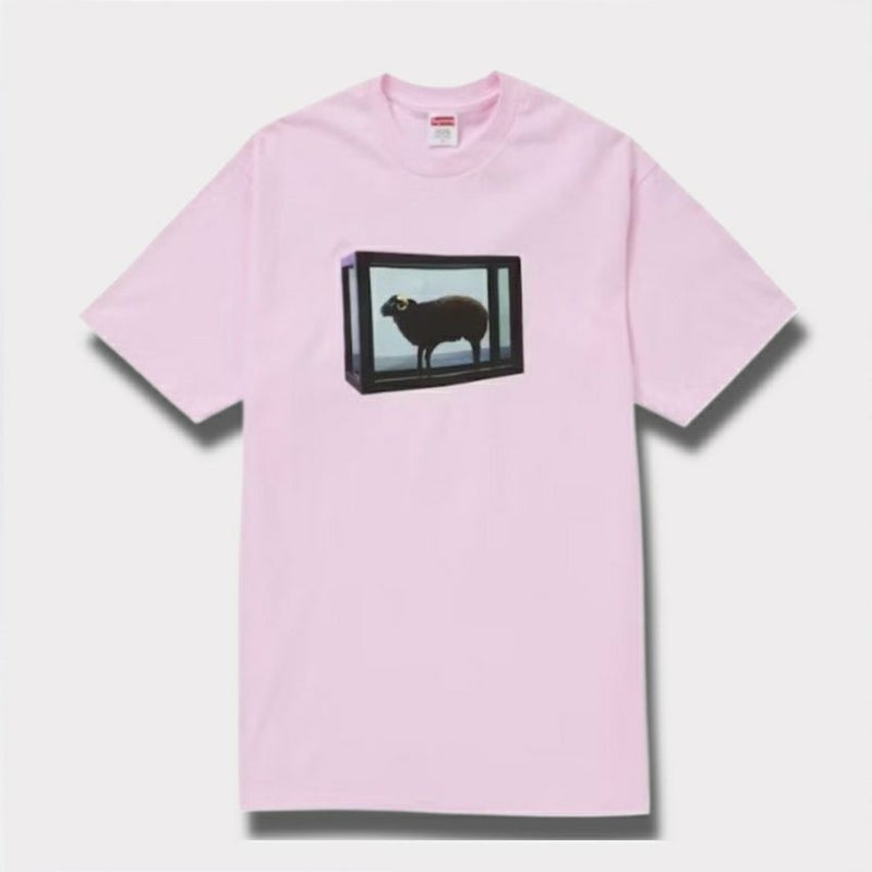 Supreme シュプリーム 2025SS Damien Hirst tee ダミアンハーストTシャツ ライトピンク