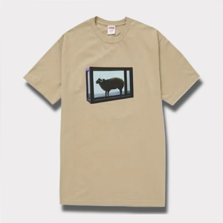 Supreme シュプリーム 2025SS Damien Hirst tee ダミアンハーストTシャツ カーキ