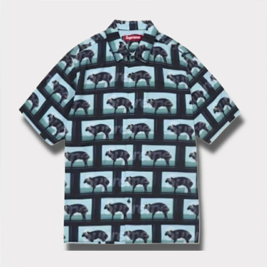 Supreme シュプリーム 2025SS Damien Hirst S/S Shirt ダミアンハーストシャツショートスリーブシャツ ブラック 黒