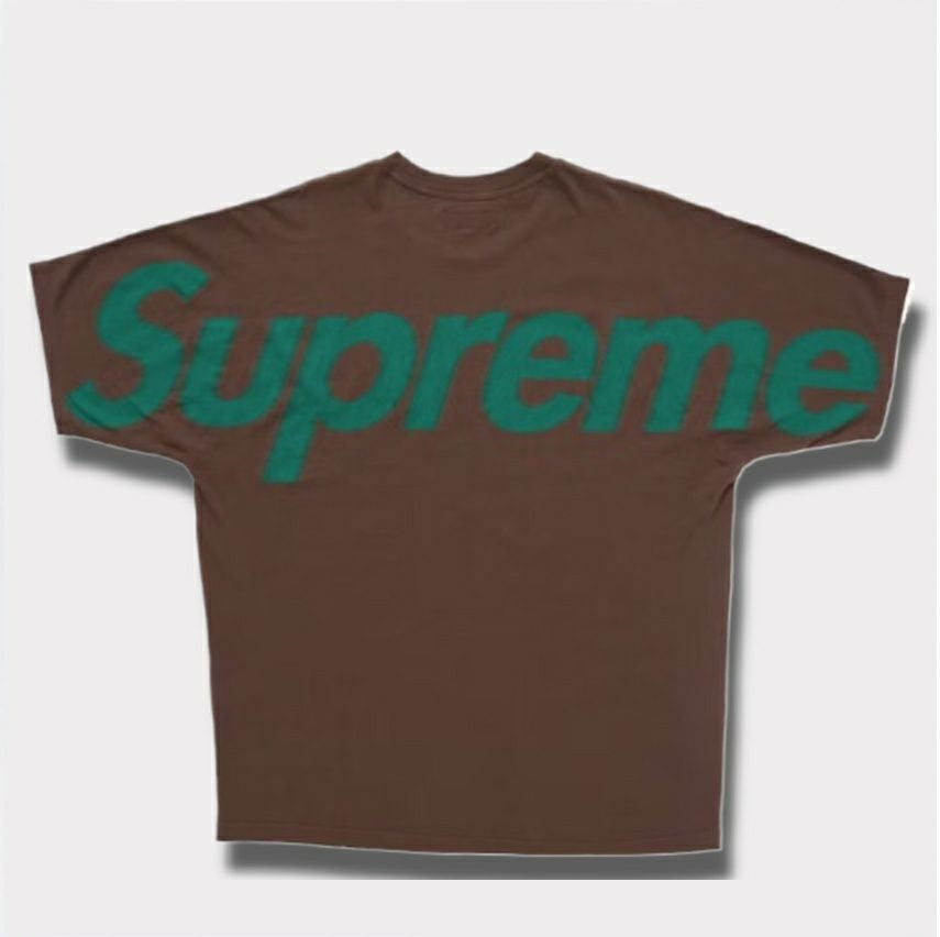 Supreme シュプリーム 2025SS Big Logo Zip Up Hooded Sweatshirt