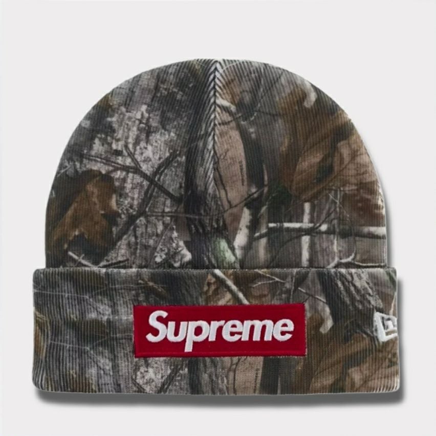 Supreme シュプリーム 2025AW New Era Box Logo Beanie ニューエラ ボックスロゴビーニー リアルツリーAPカモ