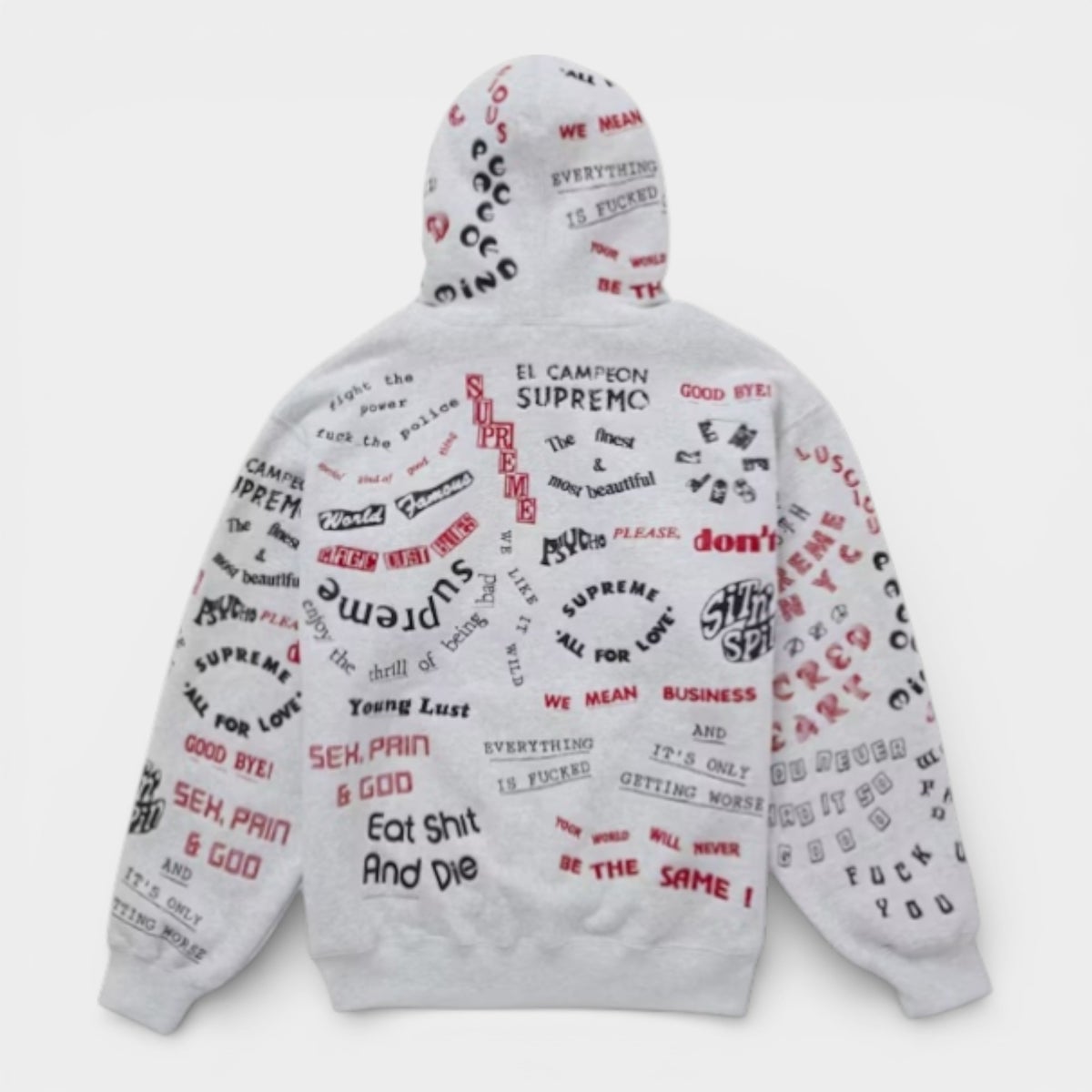 Supreme シュプリーム 2026SS Too Deadly Hooded Sweatshirt トゥーデッドリー フーデッドスウェットパーカー アッシュグレー1