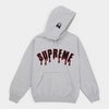 Supreme シュプリーム 2026SS Ghostface Arc Hooded Sweatshirt　ゴーストフェイス アークフーデッドスウェット パーカー アッシュグレー1