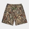 Supreme シュプリーム 2026SS Nylon Painter Short　ナイロンペインターショーツ 　トゥルーティンバーHTCカモ1