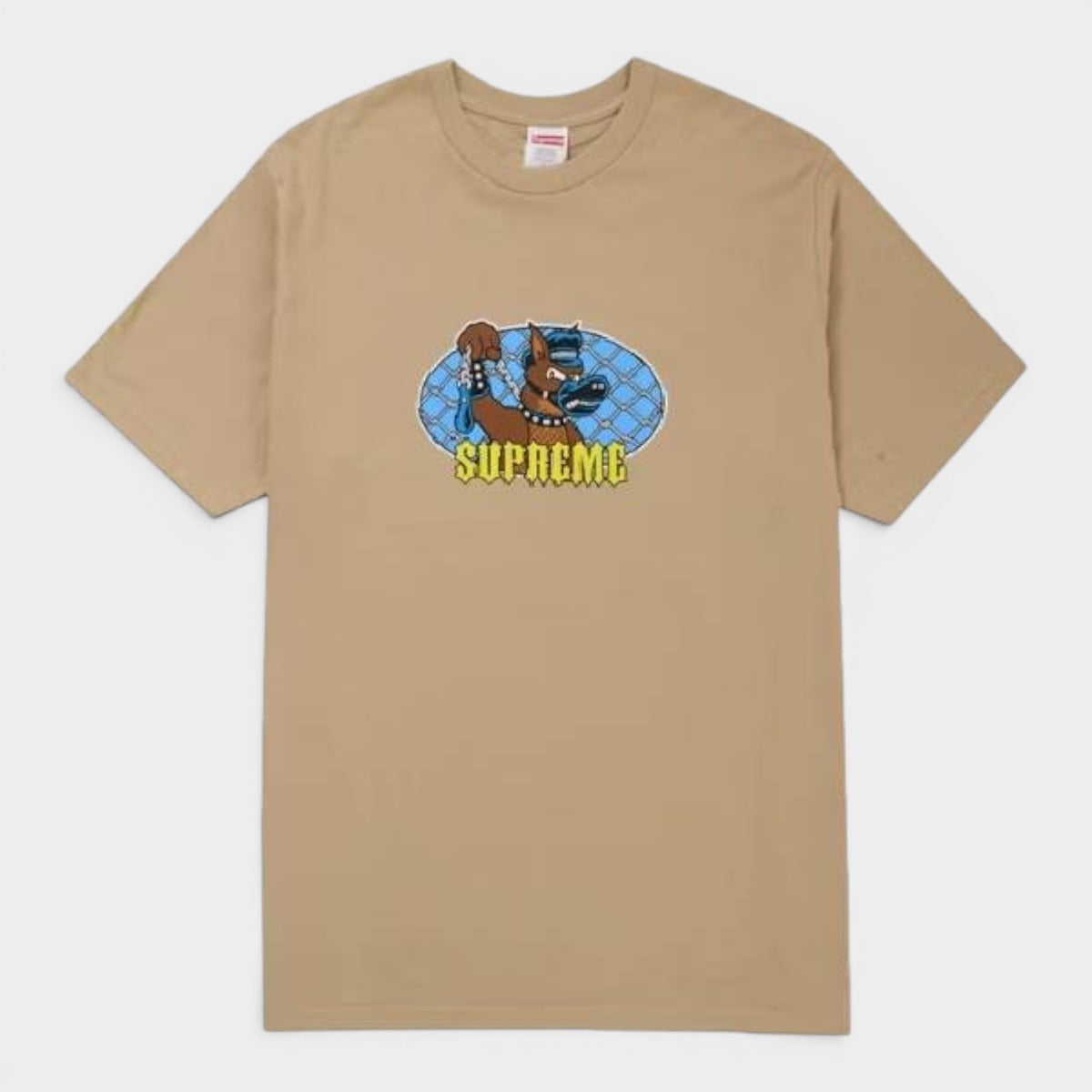 Supreme シュプリーム 2026SS Leash Tee リーシュTシャツ カーキ