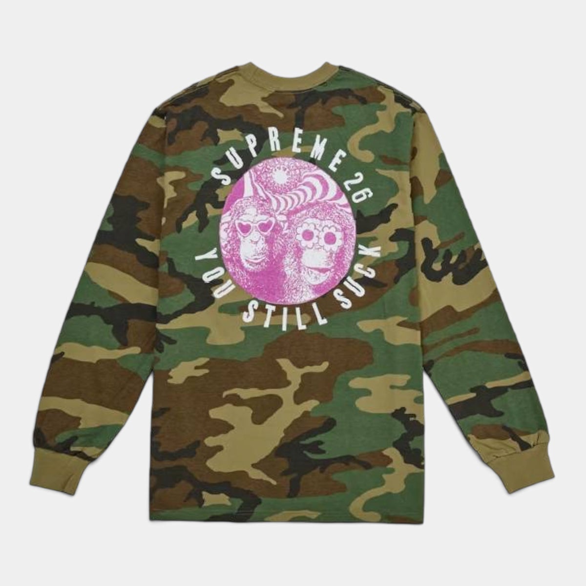  Supreme シュプリーム 2026AW You Still Suck L/S Tee ユースティルサック ロングスリーブTシャツ ウッドランドカモ